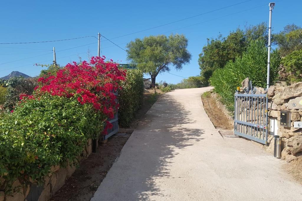 Villa Sara Olbia Bagian luar foto