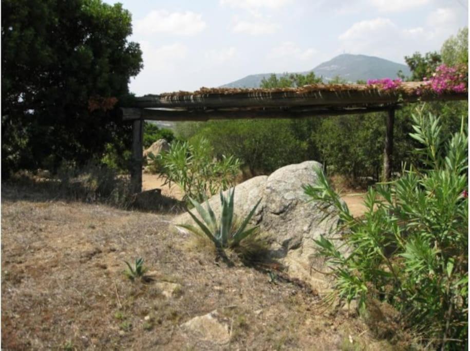 Villa Sara Olbia Bagian luar foto